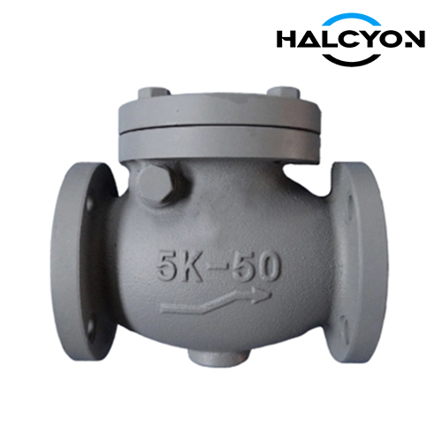 JIS F7372 Cast Iron Swing Check Valve